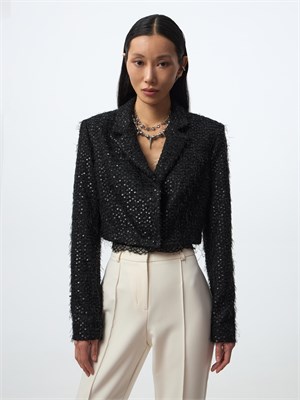 {{photo.Alt || photo.Description || 'Кроп-жакет с пайетками'}}