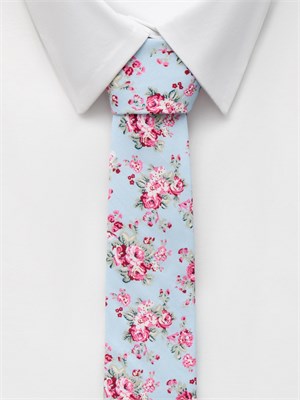 {{photo.Alt || photo.Description || 'Галстук из хлопка светло-голубой'}}